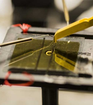 University of Michigan researchers have found a way to coax electrons to travel much further than was previously thought possible in the materials often used for organic solar cells and other organic semiconductors. 