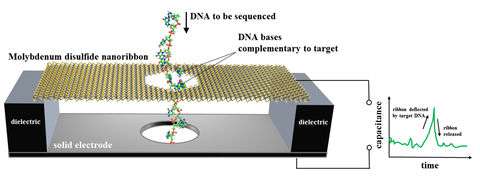 nanoscale
